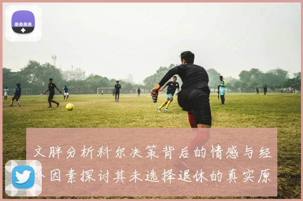 文胖分析科尔决策背后的情感与经济因素探讨其未选择退休的真实原因